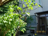 100_0925 (Medium).webp