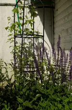 20120522-103351-MIO_4447.webp