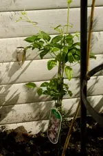 20120522-103408-MIO_4448.webp