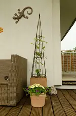 20120523-165603-MIO_4552.webp