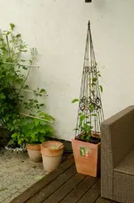 20120523-165644-MIO_4555.webp