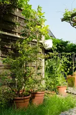 20120522-103723-MIO_4466.webp