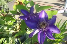 100_3065_3_1.webp