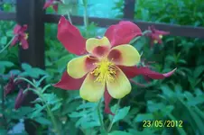 100_3067_5_1.webp