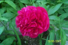 100_3070_7_1.webp
