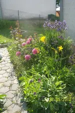 100_3074_11_1.webp