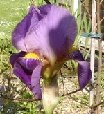 24.05 (2).webp