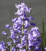 24.05 (4).webp
