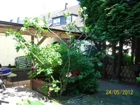 Feige 100_0940 (Medium).webp