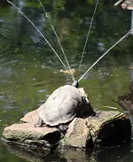 IMG_8873 (2).webp