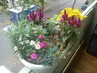 DSC00402.webp