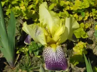 IMG_fragezeichen gelb-lila_800x600.webp
