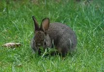 DSC_5295.2.webp