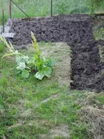DSCN1555.webp