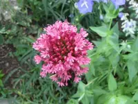 005.webp