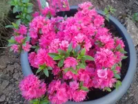 2012-05-23 20.42.07.webp