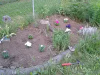 2012-05-23 20.42.19.webp