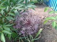 2012-05-24 13.32.26.webp