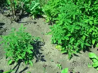k-BILD0892.webp