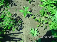 k-BILD0893.webp