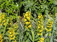 BILD0011.webp