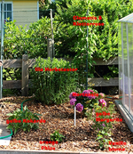 Bepflanzung links_mini.webp