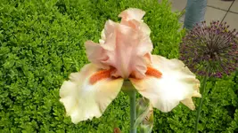 DSCN2849.webp