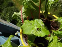 K1024_26.05 (6).webp