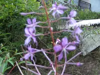BILD0680.webp BILD0680.webp
