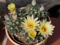DSCF1847.webp