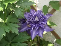 DSCF1857.webp