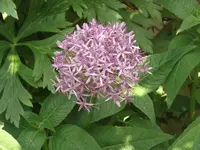 DSCF1859.webp