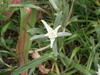 DSCF1855.webp