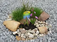 Nic27.05.12 040.webp