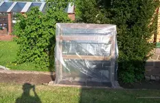 002 (2)_600x600_100KB.webp