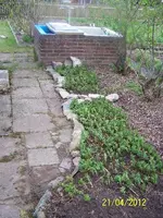 004_600x600_100KB.webp