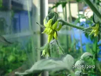 BILD0180.webp
