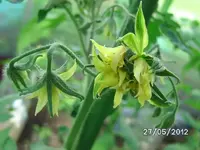 BILD0184.webp