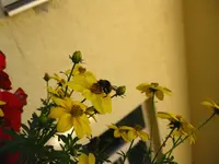 IMG_3159.webp