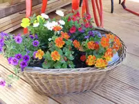 DSCI0455.webp