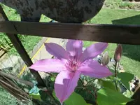 CIMG0172.webp