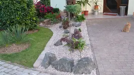 P1000855.webp