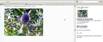 mein Bild bei Google.webp mein Bild bei Google.webp
