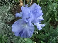 019.webp