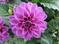 024.webp