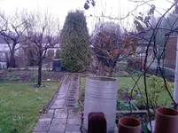 P150412_16.44.webp
