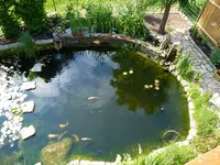 Teich von oben (1).webp