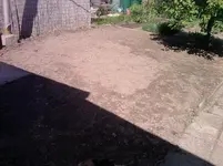 P190512_14.59.webp