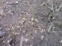 P210512_16.40_[01].webp