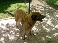 P100512_11.13.webp